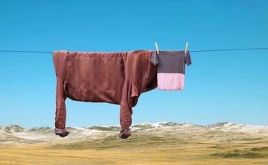 З 2025 року сімейні лікарі надаватимуть допомогу при психічних розладах