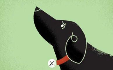 Мужчину, убившего в Киеве собаку на глазах у детей, приговорили к 7,5 годам тюрьмы