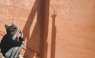 Школьники могут бесплатно подготовиться к НМТ по истории