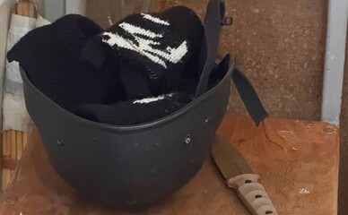 Поліція підтвердила, що до нападу у школі №233 причетні ворожі спецслужби