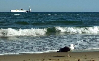 В Одесі різко похолодало та повернулися хуртовини після короткого потепління
