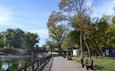 В центре Днепра озеро затопило дорожки парка — утки гуляют по тротуарам.