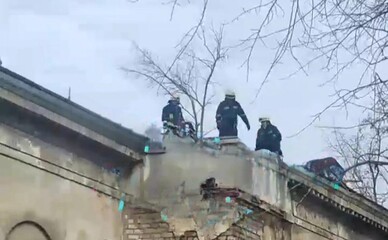 В Днепре подростки затащили собаку на крышу заброшенного здания — животное спасали чрезвычайники