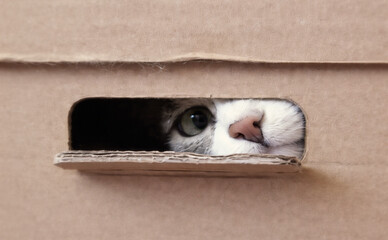 Нова пошта знизила тарифи на накладений платіж