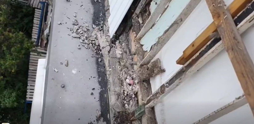 В Днепре во время утепления дома уничтожили гнезда стрижей