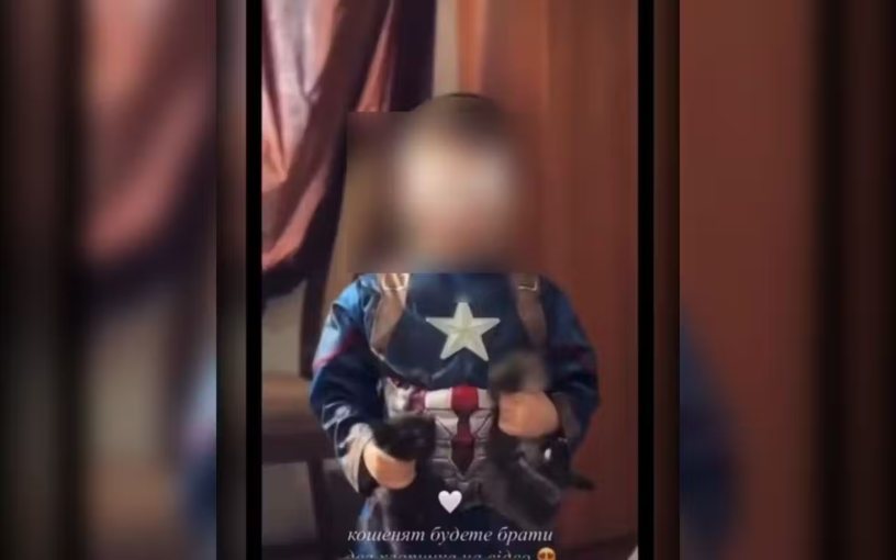На Днепропетровщине сын блогера издевался над котятами