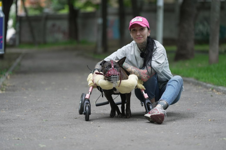 У Дніпрі собаку із хворобою мозку лікують стовбуровими клітинами