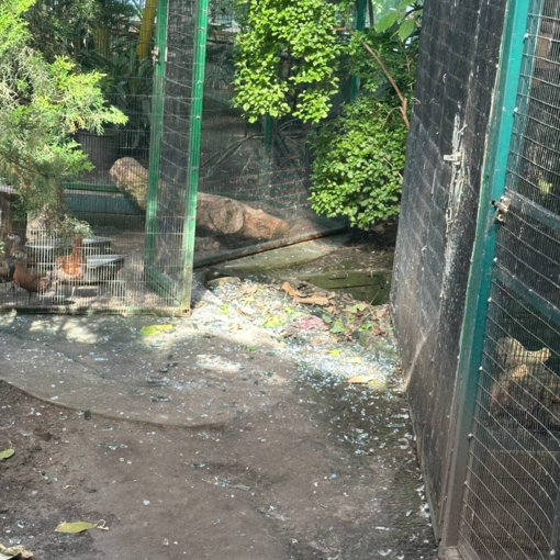 У КиївЗоо внаслідок нічного атаки РФ на Київ постраждали тварини