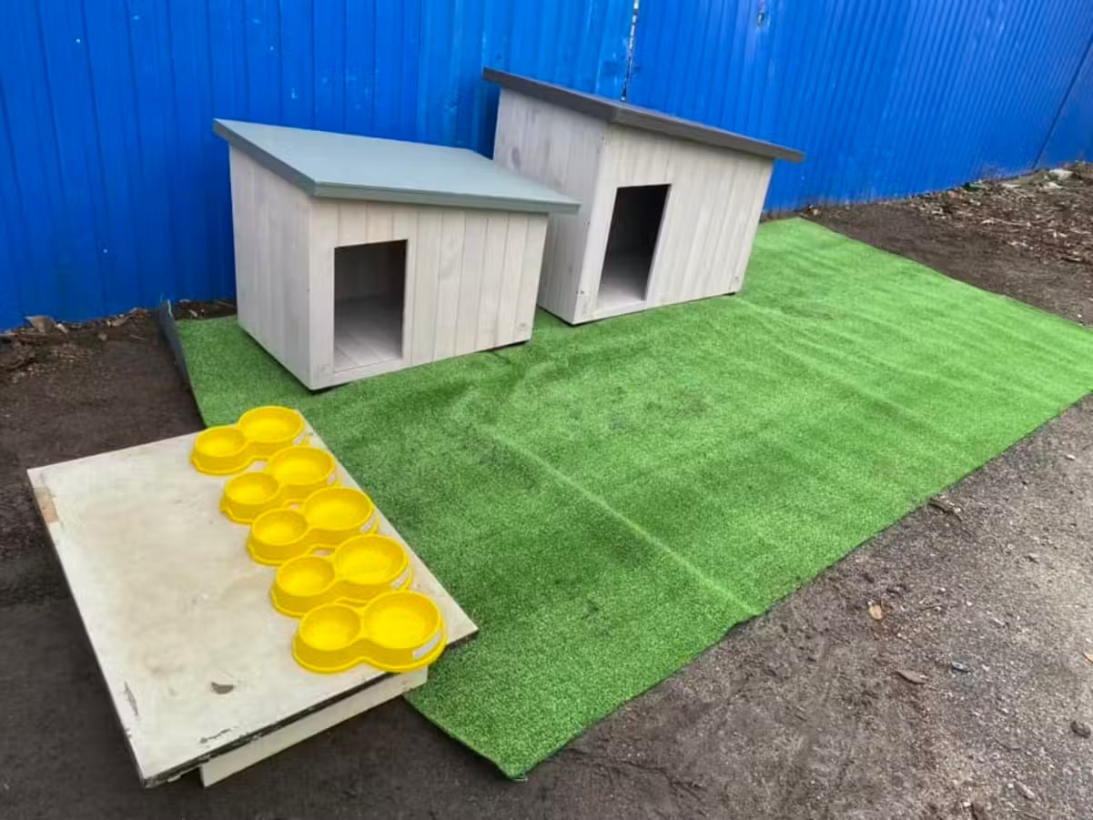 На Калнишевського з'явилися теплі будиночки для безпритульних собак фото 2 1