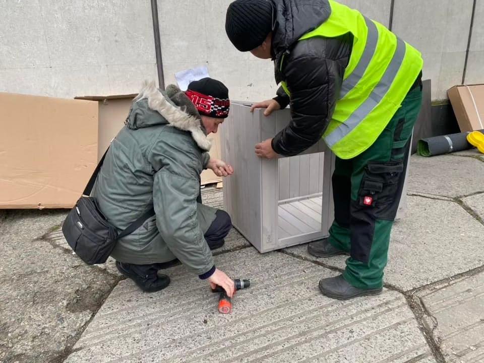 На Калнишевського з'явилися теплі будиночки для безпритульних собак фото 1