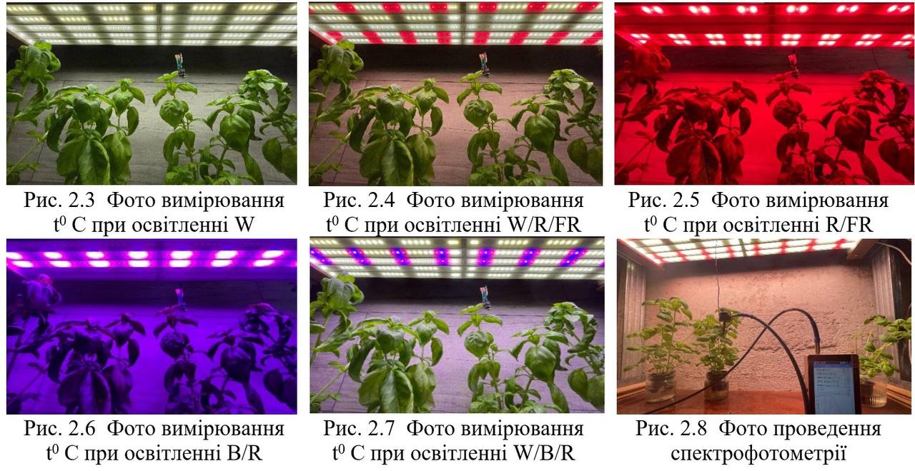 Школьник из Днепра изобрел революционную технологию выращивания растений фото 1
