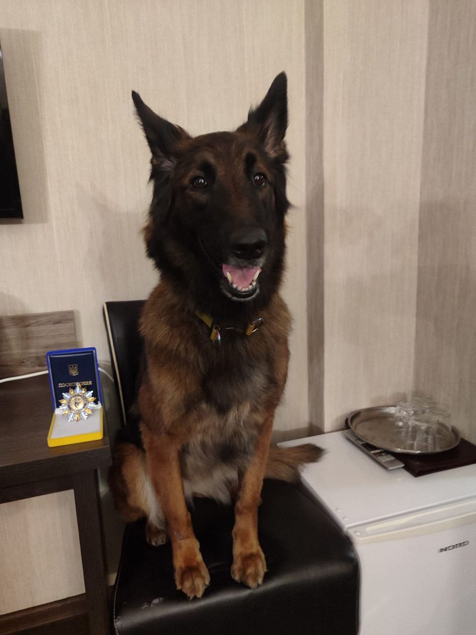 Беша стал героем Украины